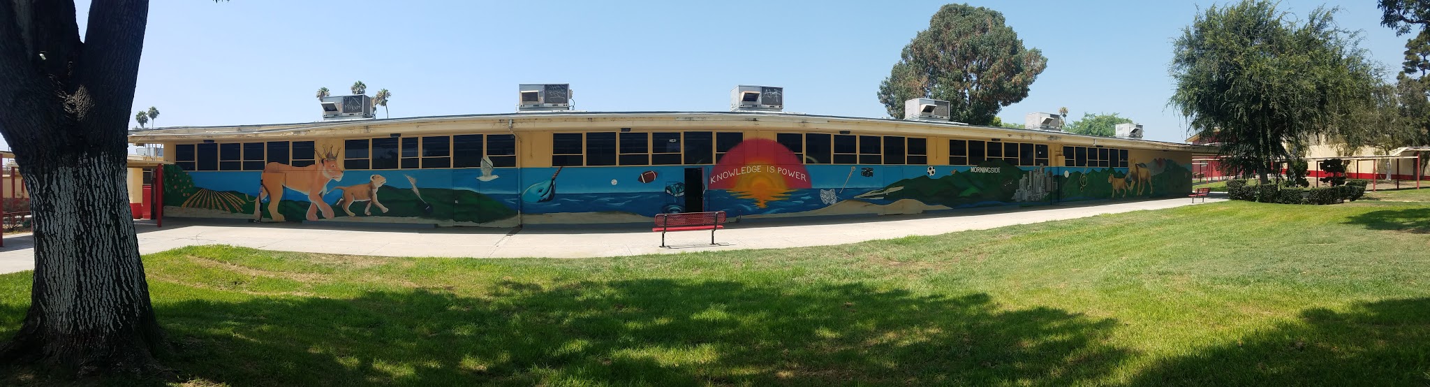 Beautify Earth Receives Grant from UCLA! — project photo