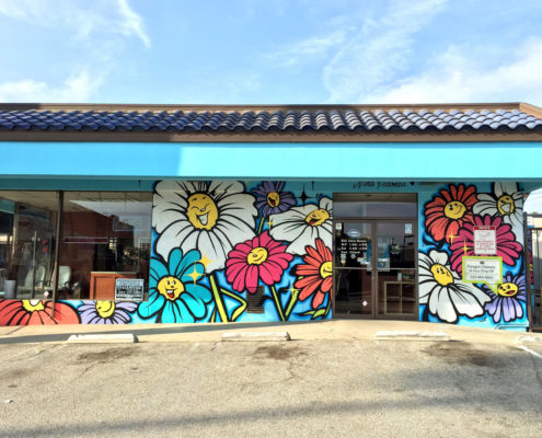 Interview with Artist Nina Palomba — project photo