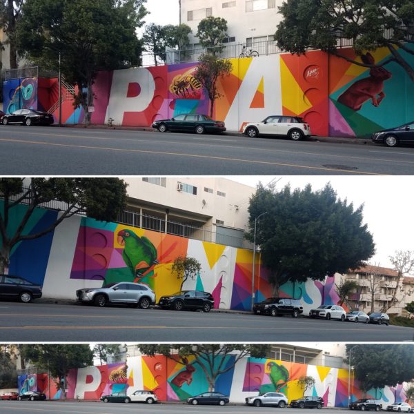 Beautify Earth, Palms Neighborhood Council, and Skanska USA add Color (and Wildlife!) to Palms Blvd. — project photo