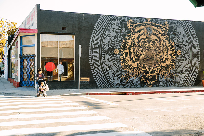 Mural by Chris Saunders