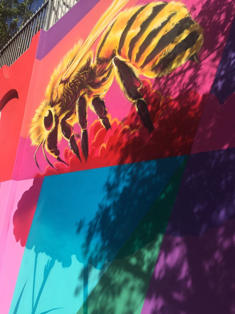 Beautify Earth, Palms Neighborhood Council, and Skanska USA add Color (and Wildlife!) to Palms Blvd. — project photo