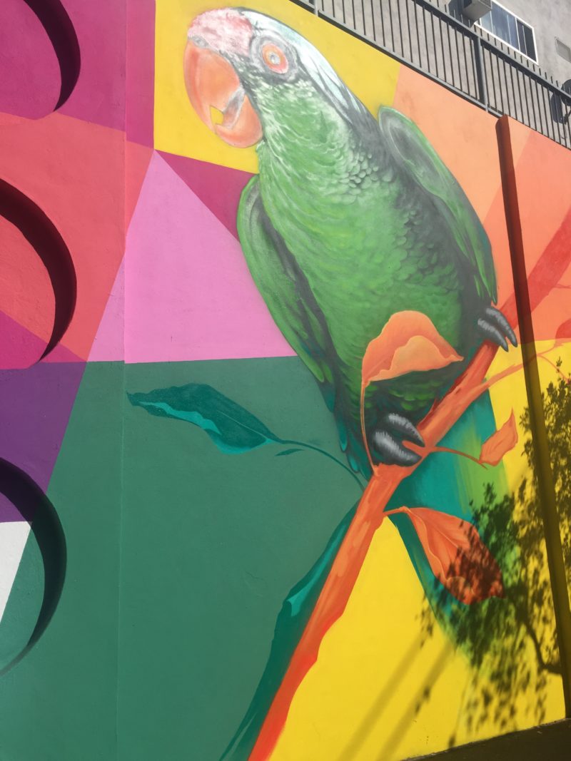Beautify Earth, Palms Neighborhood Council, and Skanska USA add Color (and Wildlife!) to Palms Blvd. — project photo