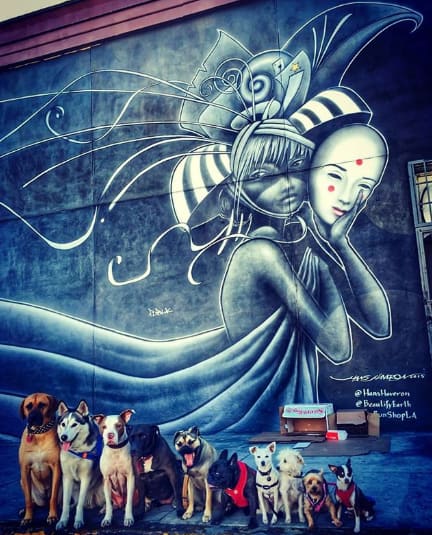 Blue mural wall with a row of dogs in front